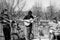 TORONTO, ONTARIO, CANADA - MARCH 21, 2021: MUSICIANS PLAY AT CHRISTIE PITS PARK DURING COVID-19 PANDEMIC.