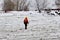 Toronto Police search the ice at Bluffers Park in response to a report of a missing person.