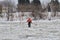 Toronto Police search the ice at Bluffers Park in response to a report of a missing person.