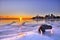 Toronto skyline in frozen winter