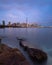 The Toronto skyline lights during blue hour seen from the waterfront path at Trillium Park