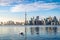 Toronto Skyline and swan swimming on Ontario lake - Toronto, Ontario, Canada