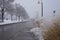 Toronto waterfront Martin Goodman recreational trail during heavy snowstorm