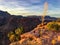 Toroweap overlook of Grand Canyon National Park, North Ridge