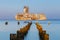 Torpedo launcher and breakwater near Gdynia, Poland