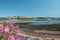 Torquay seafront looking from Corbyn head. Softly focused flowers fill the foreground