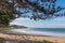 Torquay surf beach promenade along Norfolk Pine trees in Victoria, Australia.