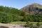 An Torr woodland and Glencoe river in Glen Coe