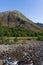 An Torr woodland and Glencoe river in Glen Coe