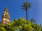 Torre del Aliminar Tower Spire Palm Tree Mezquita Cordoba Spain