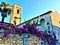 Torre di Palme town in Marche region. Italy. Tower, church and splendid bougainville