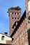 Torre Guinigi tower in Lucca, Italy