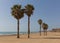 Torre La Mata Spain palm trees on beautiful sandy beach