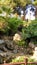 Torremolinos-Botanic Gardens-MOLINO DEL INCA-