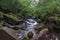 Torrent in a promontory full of thick vegetation in Ireland