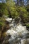 Torrent of rapids near Lake Prespa, Greece