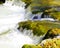 Torrent with small waterfall with long shutter speed in great colors