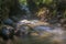 Torrential river flow  a variety of large stones