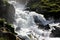 Torrential river in the swiss alps in summer