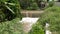 Torrential water flow in a water channel on the edge of a rice field in a village in Indonesia