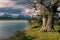 Torres del Paine