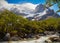 Torres del Paine national park. Chile