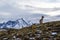 Torres del Paine National Park landscape,