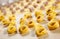 Tortellini. Bologna typical fresh stuffed pasta