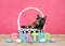 Tortie tabby cat in easter basket, wood blocks spelling easter