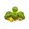 Tortiglioni pasta noodels with basil leaf