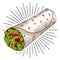 Tortilla wrap - illustration/ clipart