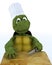 Tortoise Caricature as a Chef