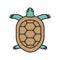 Tortoise color icon