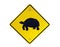 Tortoise Crossing