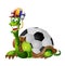 Tortoise football fan