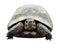 Tortoise, isolated photo. Turtle from the front.
