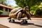 A tortoise riding on a skateboard. Strategy and performance concept