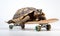 A tortoise riding on a skateboard. Strategy and performance concept