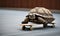 A tortoise riding on a skateboard. Strategy and performance concept