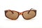 Tortoise Shell Sunglasses