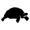 Tortoise split frame monogram EPS vector file