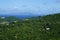 Tortola BVI, Thatch Cay USVI, Crass Cay USVI and ST. John USVI islands view from St. Thomas island