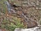 Tory`s Falls at Hanging Rock State Park