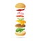 Tossed cheeseburger. Vector illustration decorative design