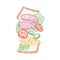 Tossed salami sandwich. Vector illustration decorative design