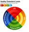 Total Blood Cholesterol HDL LDL Triglycerides Chart