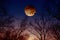 Total lunar eclipse, moon eclipse