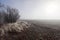 Totally frozen winter landscape with fog on the horizon and ice on the ground and plants. Curved dirt road. Segovia, Spain