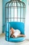 Totally relaxed. sweet and comfort dream, morning. daytime sleep of tired girl in cage chair. modern furniture design