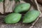 Totapuri raw mangoes or Magnifera indica. It is an oblong shaped mango with prominent beak